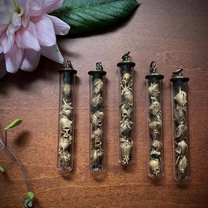 May include: Five glass vials filled with dried flowers, each with a decorative metal cap. The vials are on a wooden surface, with a pink flower and green leaf in the background. The dried flowers are beige.