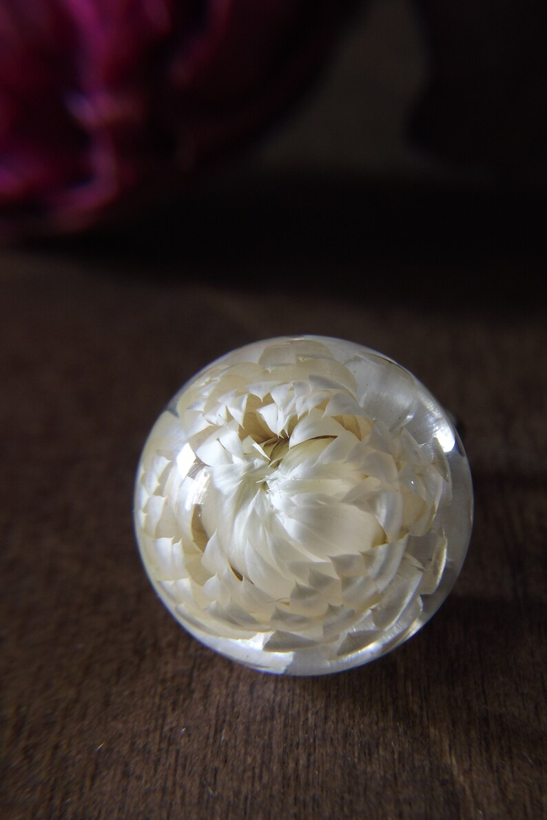 Strawflower Miniature Specimen Ring