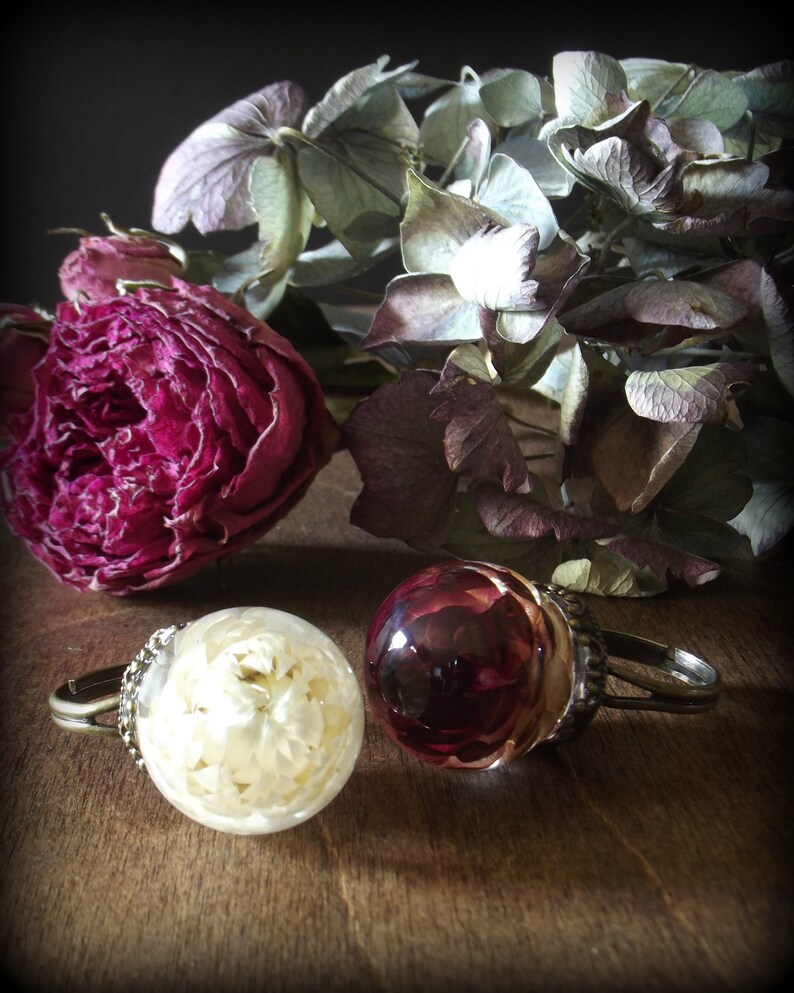 Strawflower Miniature Specimen Ring