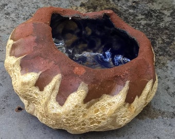 Sea Bowl (clamshell) by Joel Patton
