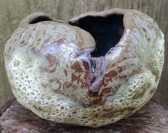 sea bowl with split by Joel Patton