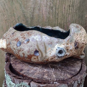 Pode incluir: Um vaso de cerâmica com um esmalte texturizado marrom e branco. O vaso tem um formato orgânico único e um interior azul escuro.