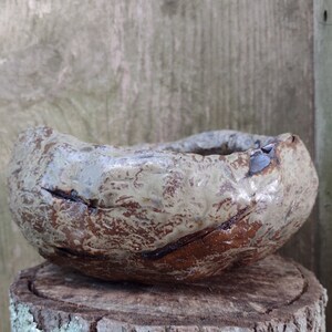 Op de afbeelding: Een kleine, rustieke, bruin en grijze keramische kom met een getextureerd oppervlak. De kom staat op een boomstronk.