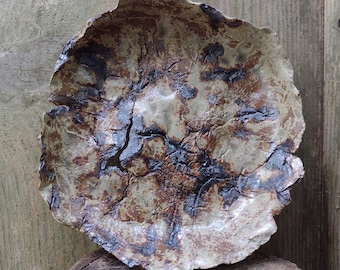7" Earth Plate by Joel Patton