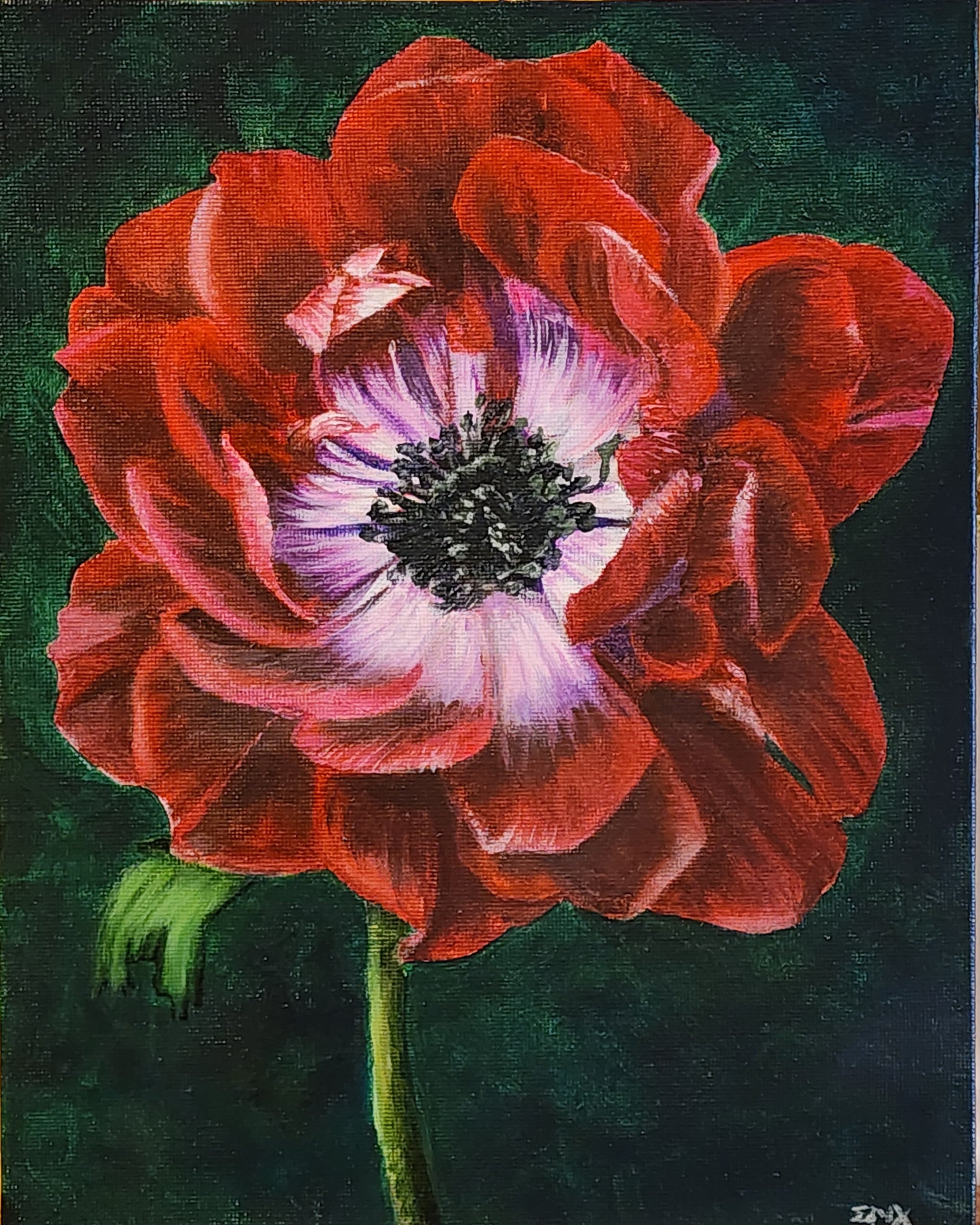 絵画 anemone Crimson Double Petal Anemone, Original Floral Painting, by EM Xray