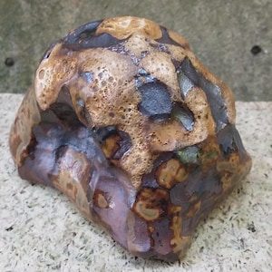 May include: A brown, black, and white ceramic rock with a textured surface. The rock has a unique, abstract design.