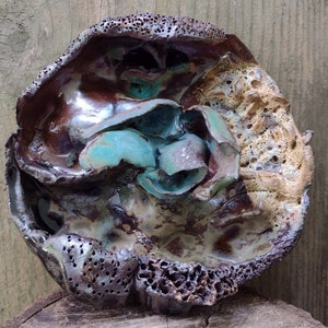 Flowering Ground von EM Xray und Joel Patton