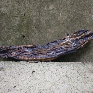 Op de afbeelding: Een stuk drijfhout in donkerbruine en lichtbruine kleur, met een ruw, getextureerd oppervlak. Het drijfhout ligt op een lichtgrijs betonnen oppervlak.