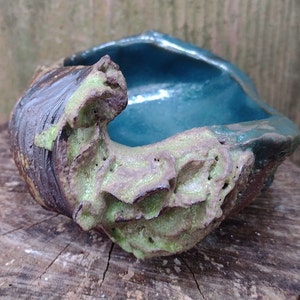 leafy sea bowl by EM Xray and Joel Patton