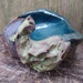 see more listings in the Sea & Earth Bowls section