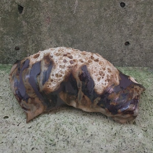 Op de afbeelding: Een bruin en wit keramisch beeld met een getextureerd oppervlak. Het beeld heeft een unieke, organische vorm en doet denken aan een rotsformatie.