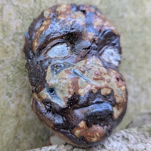 Puede incluir: Un rostro de cerámica esculpido a mano con un esmalte brillante e irregular en tonos marrón oscuro, bronceado y toques de azul. La pieza presenta ojos hundidos, una nariz prominente y labios definidos, con una superficie texturizada y orgánica.