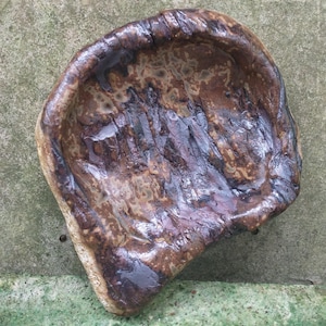 Op de afbeelding: Een bruine keramische schaal met een getextureerd oppervlak. De schaal heeft een licht onregelmatige vorm en een brede, ondiepe rand.