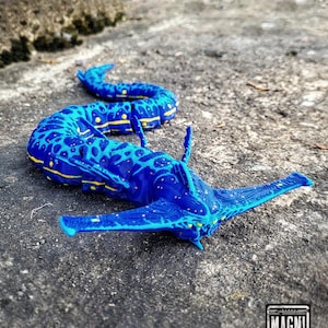 Könnte beinhalten: Blau-gelbes Modell einer Meereskreatur mit langem, segmentiertem Körper und flügelartigen Anhängen. Das Modell hat ein gepunktetes Muster und liegt auf einer strukturierten Oberfläche. Das Modell ist mit dem Text "MAGNI MODELS" beschriftet.