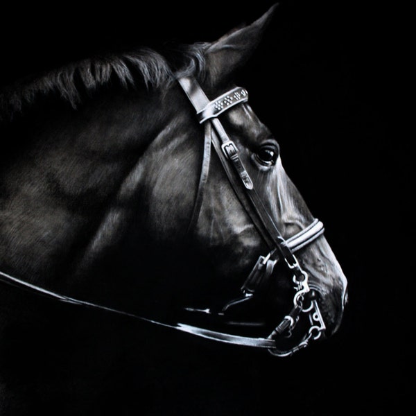 ORIGINAL Charcoal Drawing of a Horse
