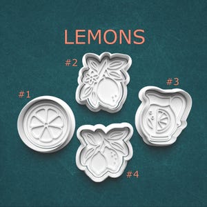 Lemon Cookie Cutter Set with Stamps – Precision Crafted Citrus Baking Tools for Cookies, Fondant, and Summer Party Treats