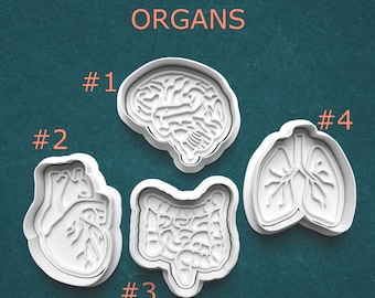 Anatomy Cookie Cutter and Clay Stamp Set ~ Internal Organs ~ Educational Cookies ~ Classroom ~ Doctor Gift Idea ~ Medical Student Gift
