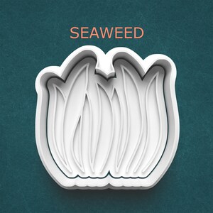 May include: A white plastic cookie cutter in the shape of seaweed, with the word "SEAWEED" in orange text above. The cutter has a detailed design of seaweed fronds and a smooth, rounded edge. The background is a teal color.