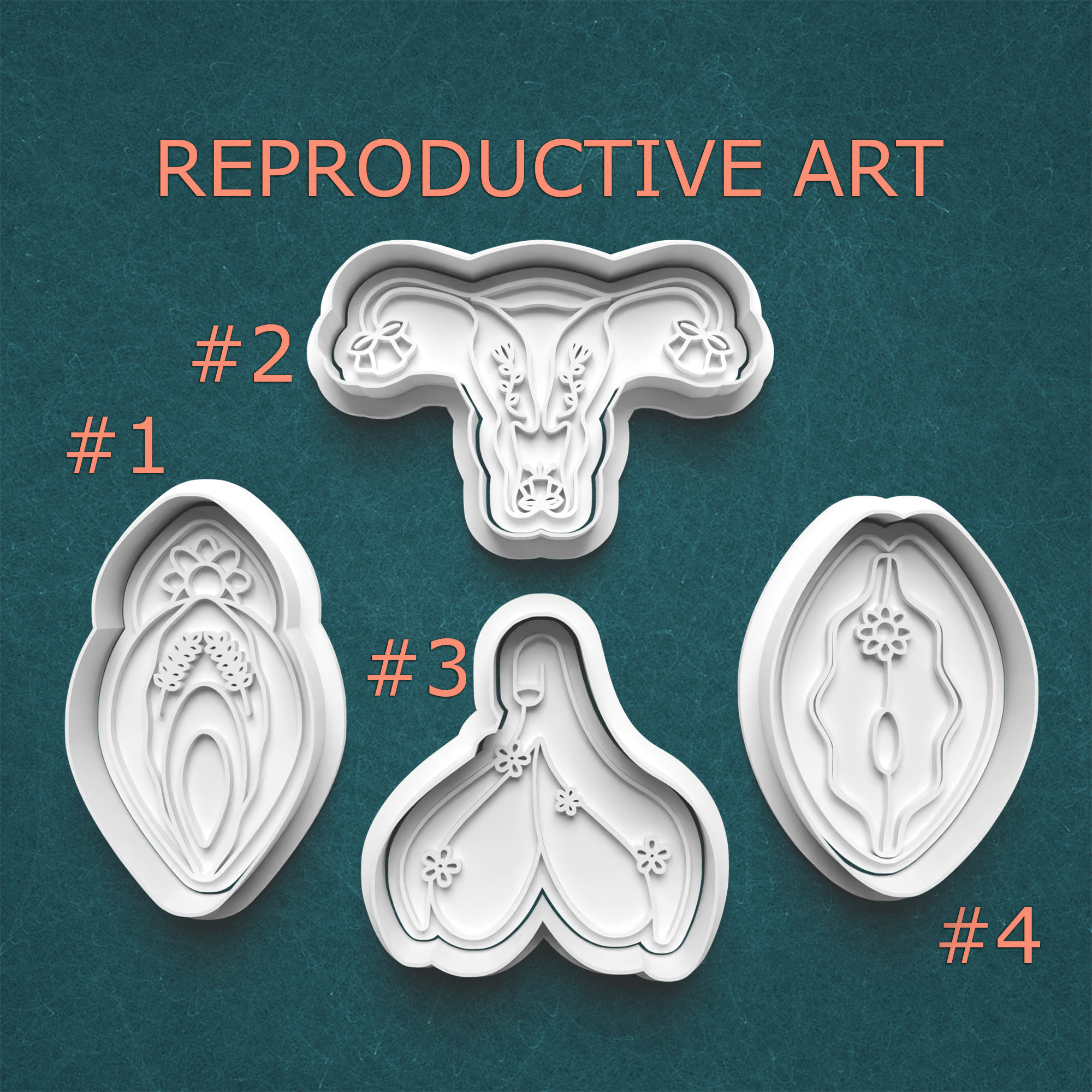 Reproductive System Art Vulva Art Feminism Womanhood Art Body Art