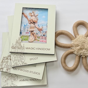 Disney Picture Frame, Four Parks, Magic Kingdom, Hollywood Studios, Animal Kingdom, EPCOT, Gallery Wall Frames, Character Autograph Souvenir