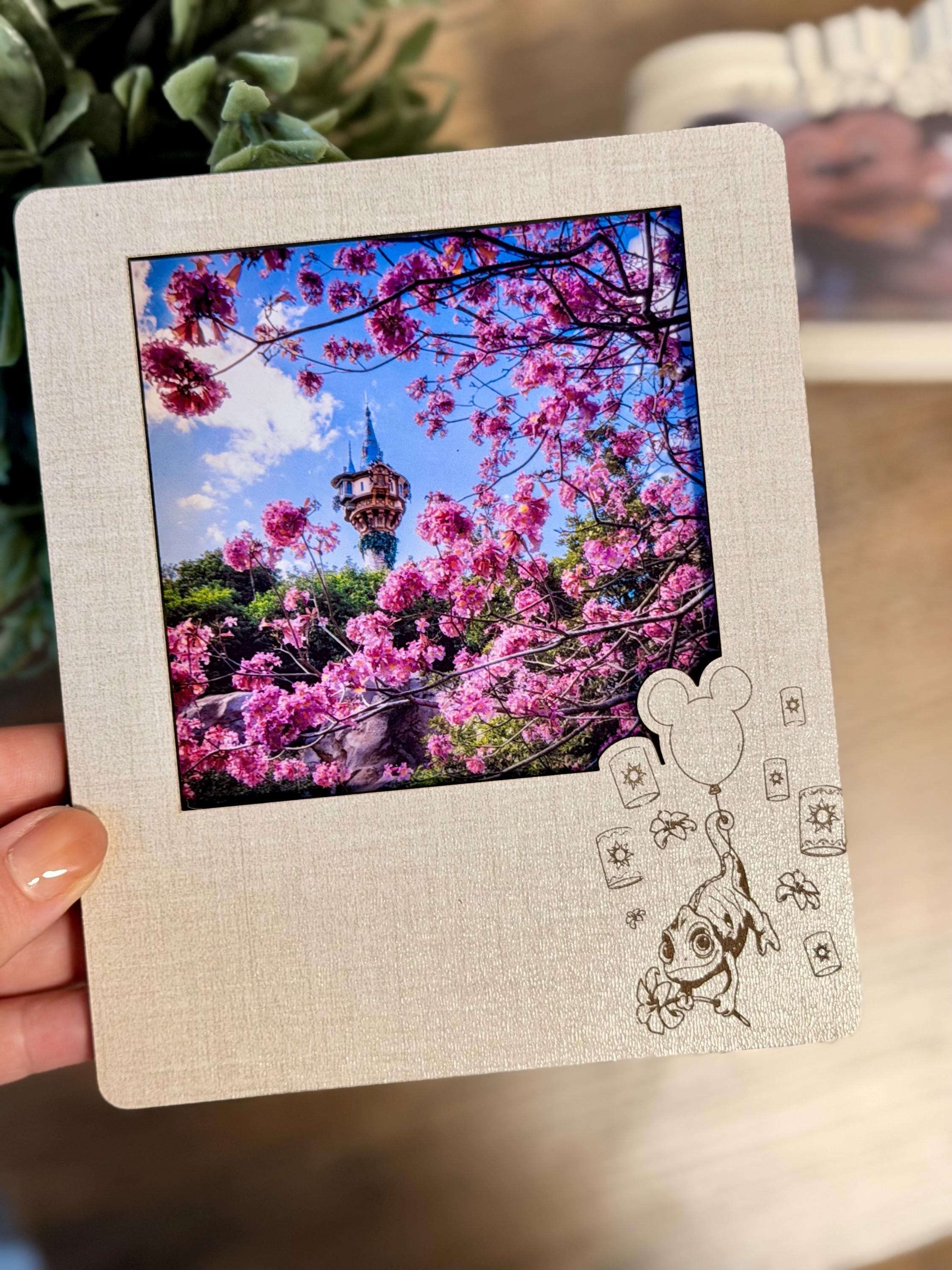 Disney Picture Frame, Pascal Rapunzel, Princess Disney Vacation Picture ...