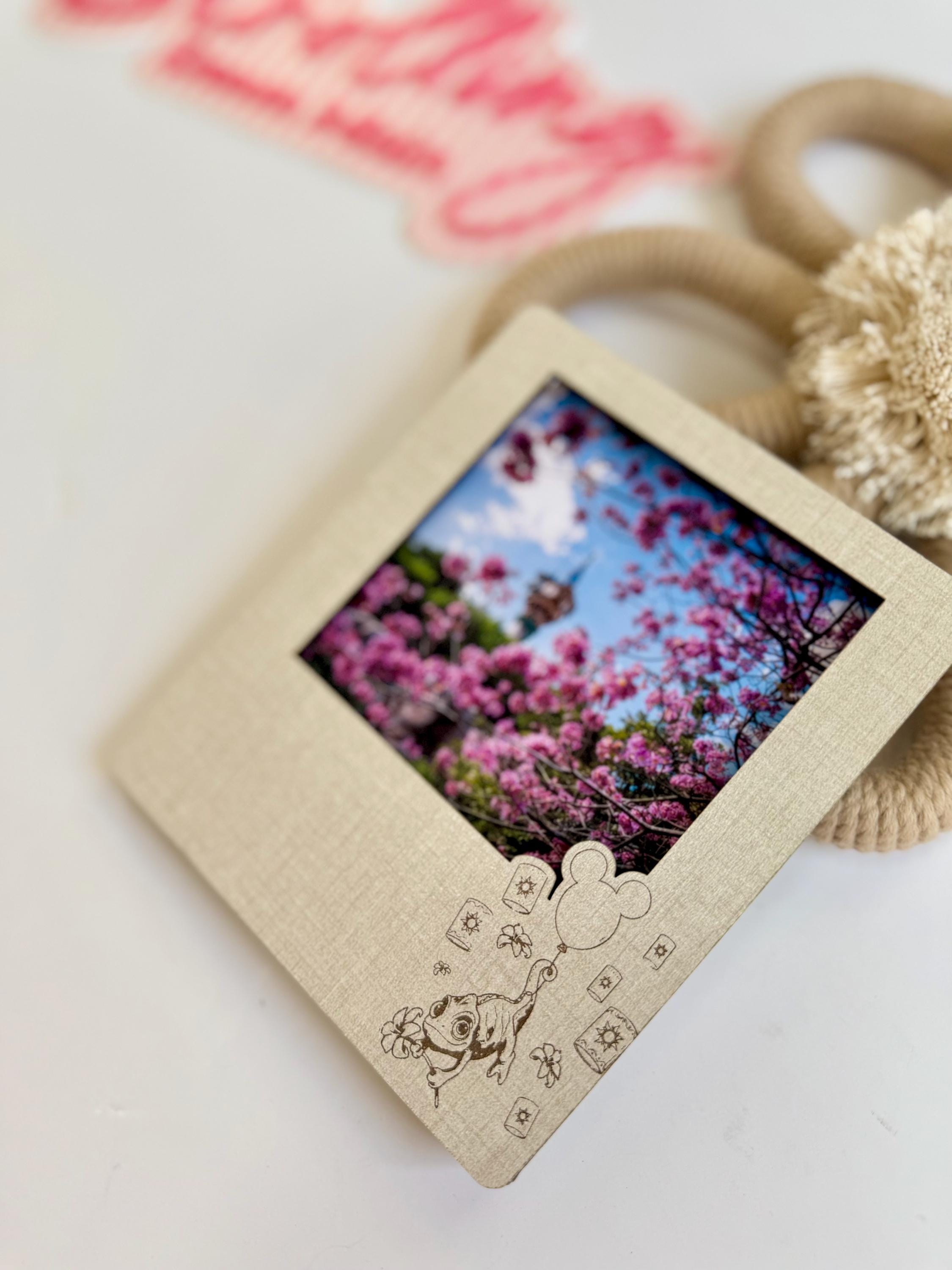 Disney Picture Frame, Pascal Rapunzel, Princess Disney Vacation Picture ...