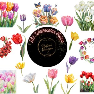 Station7 Designs Watercolor Tulip Clip Art Collection-3000x3000 300dpi, Tulip Wreaths, Tulip Bunches, Tulips & Butterflies, Rembrandt+