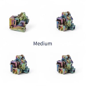 May include: Four medium-sized bismuth crystals with a vibrant, iridescent surface. The crystals display a range of colors, including blues, greens, yellows, and purples. The word "Medium" is printed in navy blue below the crystals.