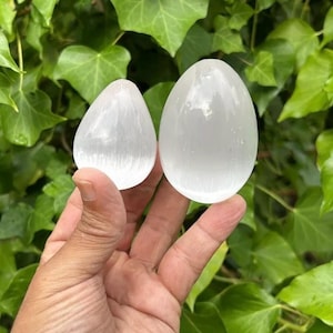 May include: Two white selenite crystal eggs, one larger than the other, are held in a hand against a backdrop of green leaves.