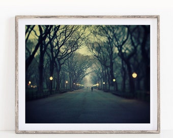 Central Park at Night, New York Photography Print, Fine Art Photography, New York Print, Indigo Blue, Large Wall Art