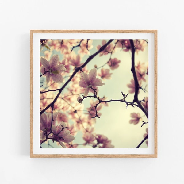 Magnolia Flower Print, Spring Wall Art, Nature Photography, Prints, Square Botanical Wall Decor, Floral Wall Art, Gift for Mom