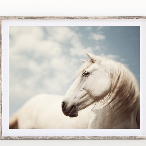 Horse Photography Wall Art Print Black and White Printable Etsy