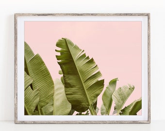 Tropical Wall Art Print, Banana Leaf Photograph, Blush Pink, Banana Leaf Print, Tropical Print, Wall Decor, Plant, Nature Photography