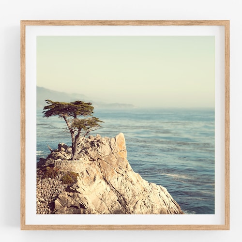 Big Sur California Wall Art Lone Tree California Coast Etsy