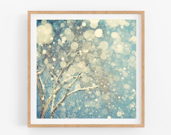Winter Landscape Photography, Abstract Wall Art Print, Square Tree Print, Abstract Snow Photograph, Blue Art, 8x8 Square Print