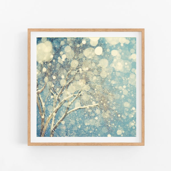 Winter Landscape Photography, Abstract Wall Art Print, Square Tree Print, Abstract Snow Photograph, Blue Art, 8x8 Square Print