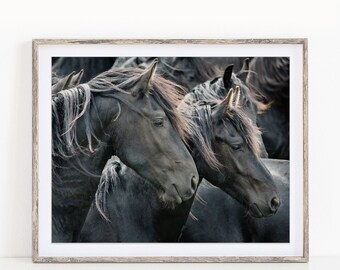 Horse Photography, Two Friesian Horses, Large Wall Art, Nature Photography, Boho Decor, Horse Print, Fine Art Photography Print, Horse Art