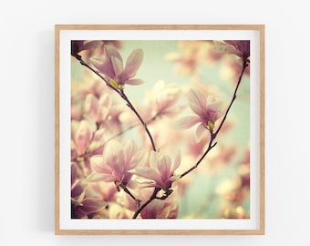 Pink Magnolias, Flower Photography, Pastel Spring Decor, Nature Art Prints, Floral Home Decor 8x8, "Songs Without Words"