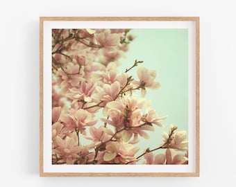 Magnolia Tree Photo, Nature Photography, Flower Photography Print, Pink, Botanical Print, Square Floral Print, Fine Art Photography