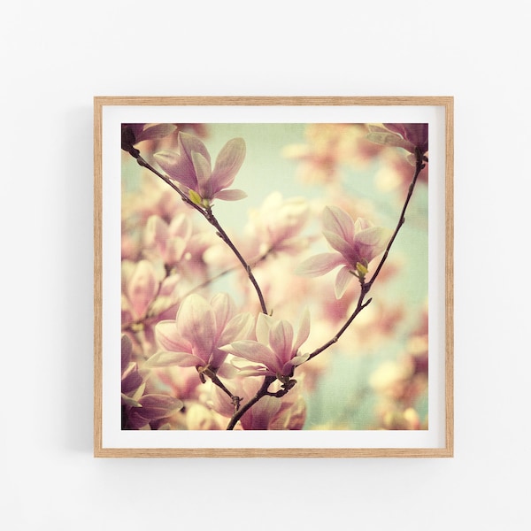 Pink Magnolias, Flower Photography, Pastel Spring Decor, Nature Art Prints, Floral Home Decor 8x8, "Songs Without Words"