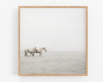 Horse Print, Minimalist Wall Art Print, Fine Art Nature Photography Print, White Horse Art, Nordic Print, Scandinavian Wall Art