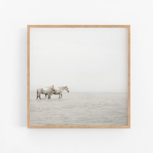 Horse Print, Minimalist Wall Art Print, Fine Art Nature Photography Print, White Horse Art, Nordic Print, Scandinavian Wall Art image 1