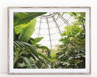 Tropical Print, Greenhouse Photography, Tropical Plants, Greenery, Green Jungle, Botanical Print, Wall Art, Prints