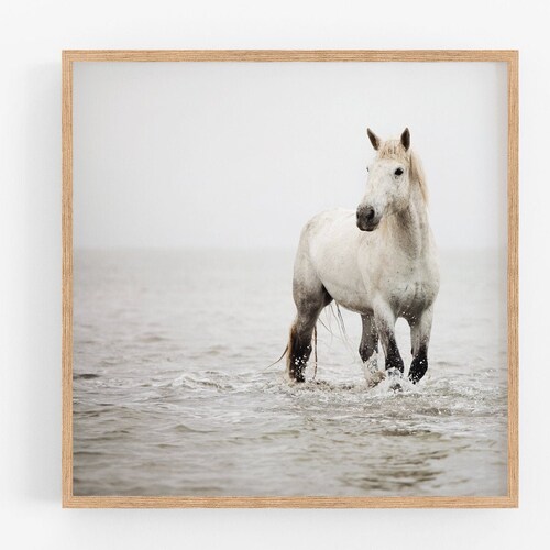 Horse Photography Large Wall Art Print Horse Print Nature Etsy