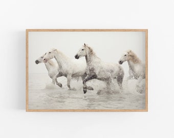 May include: Four white horses run through the water, creating a spray of water droplets. The horses are in a shallow body of water, and the background is a light gray.