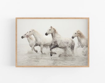 Horse Art, Nature Photography, Camargue Horse Print, White Wall Art, Nature Print, Fine Art Photography Print