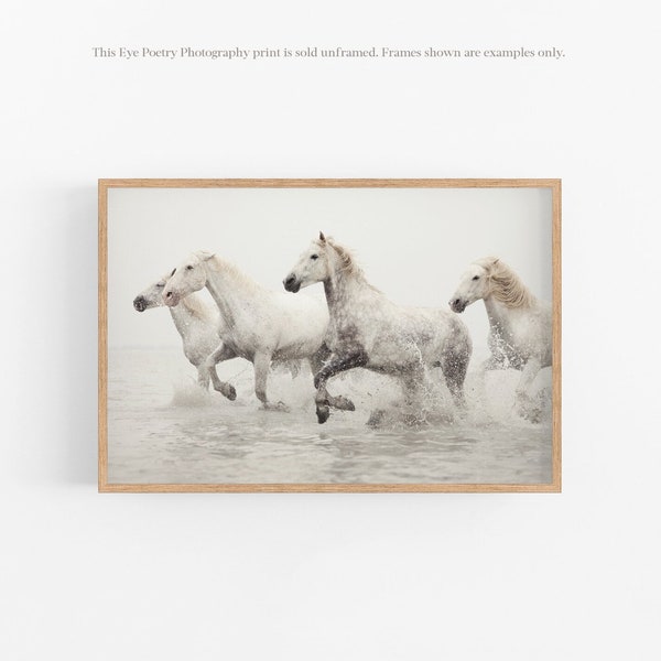 Art du cheval, Photographie de la nature, Impression de cheval de Camargue, Art mural blanc, Impression de la nature, Impression de photographie d’art