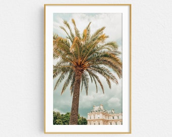 Paris Photography Print, Luxembourg Garden Palm Tree, Paris Wall Art Print