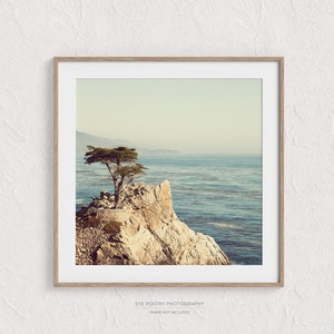 Big Sur, California Wall Art, Lone Tree, California Coast, Landscape Photography, Nature Photography, Photo Print, Ocean Print,17 Mile Drive