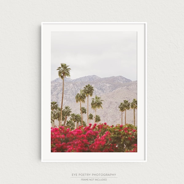 Palm Springs Photography Print, Palm Tree Print, California Desert Print, Boho Wall Art Print, Large Wall Art "Desert Palms"